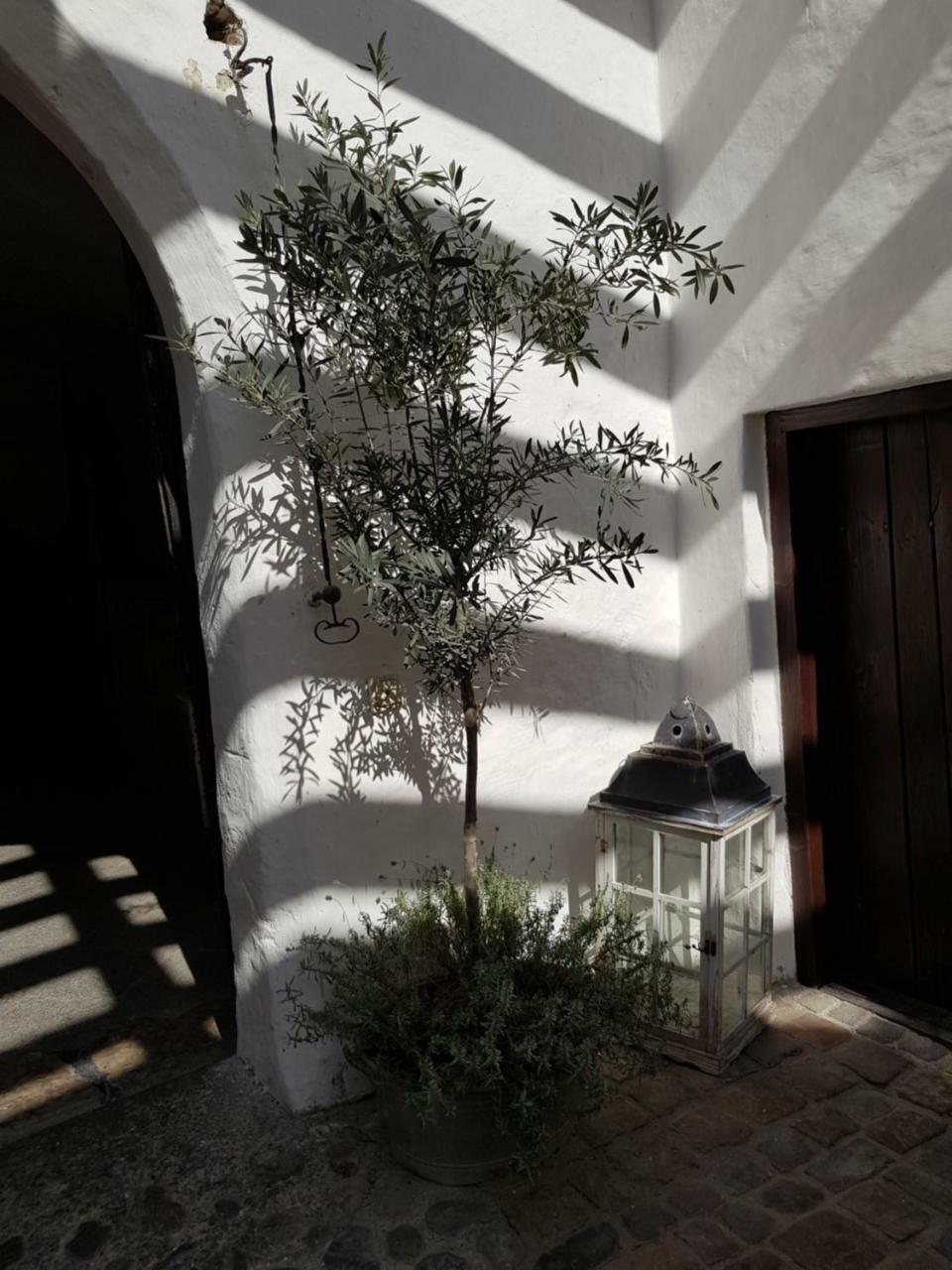 Hotel Schloss Amerang Zewnętrze zdjęcie